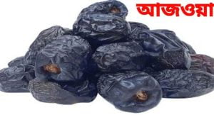 আজওয়া খেজুর