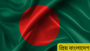 বাংলাদেশের ইতিহাস 