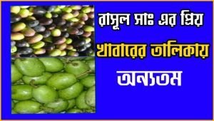 রাসূল সাঃ এর প্রিয় খাবার