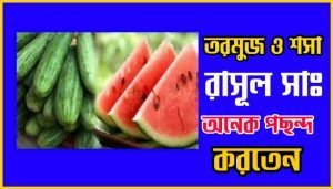 রাসূল সাঃ এর প্রিয় খাবার